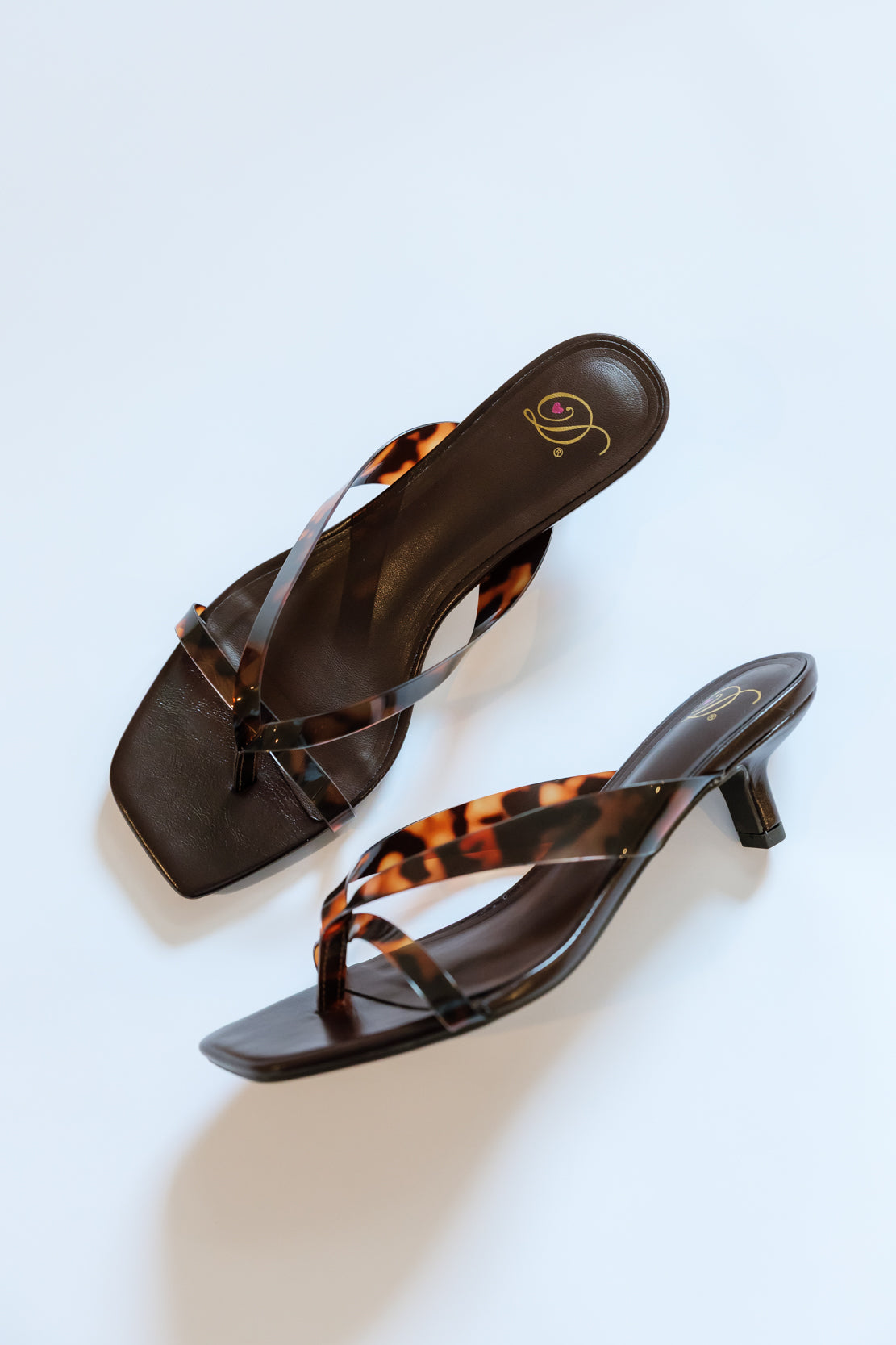 Anabel Sandal | Tortoise