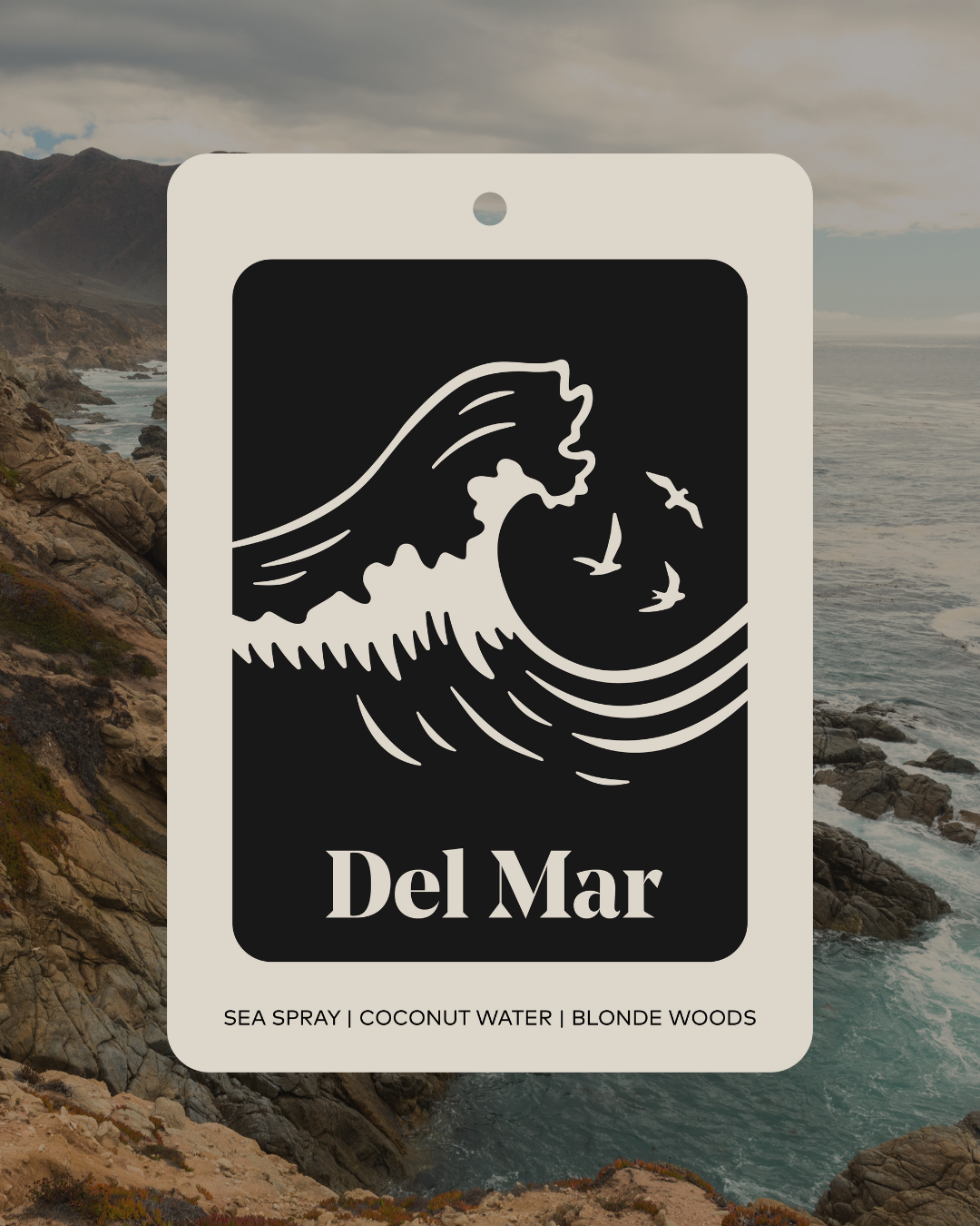 Guy Fox Car Scent | Del Mar