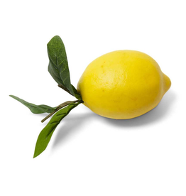 Lemon w/ Foliage 4.5