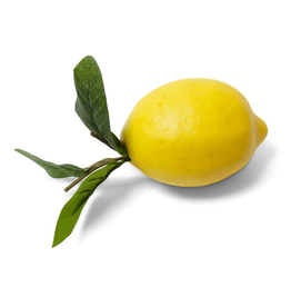 Lemon w/ Foliage 4.5"