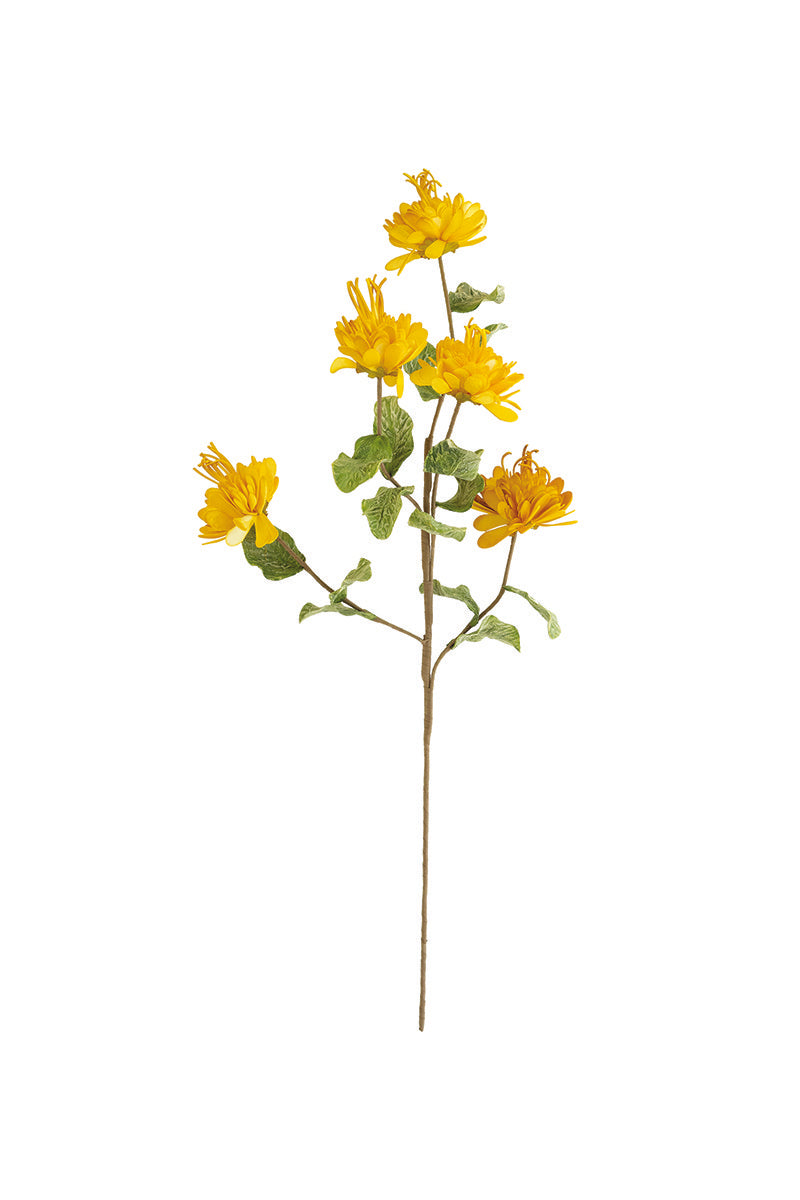 Botanica 3261