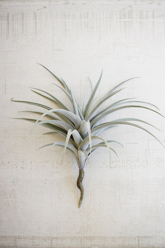 Giant Artificial Airplant